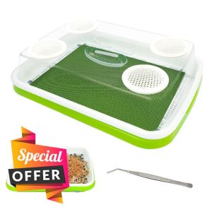 Mealworms Breeding Kit