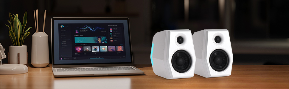 computer speakers