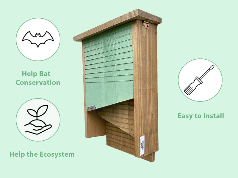 Bat box information, and image of bat box