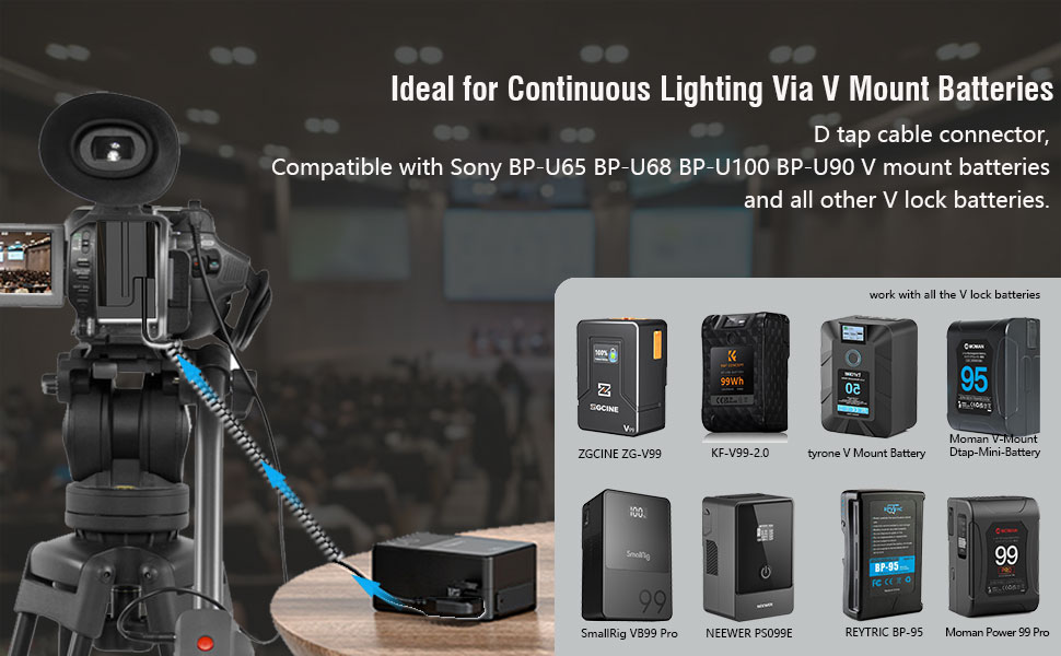 dtap to NP-F550 Dummy Battery Compatible with Sony NP-F970 F750 F770 F960 F550 F530 F330 F570