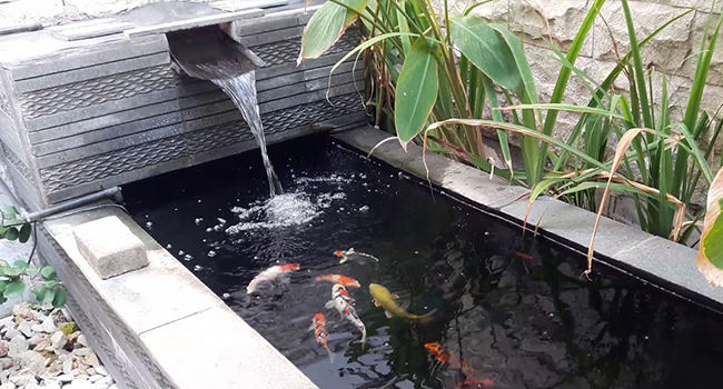 Water filter Pump for Ponds