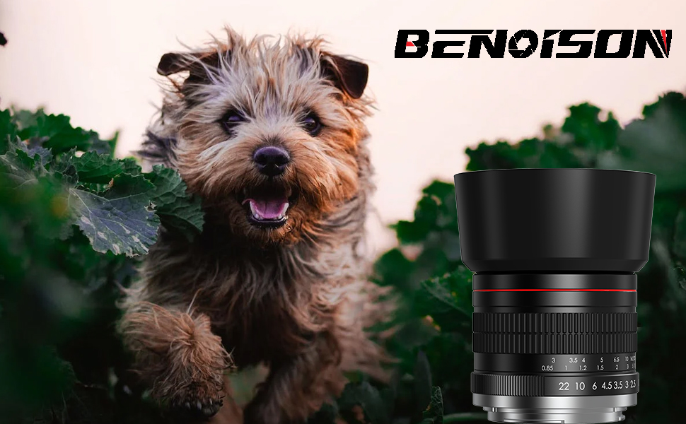 portrait lens