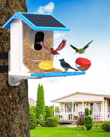 Smart Bird Feeder with Camera