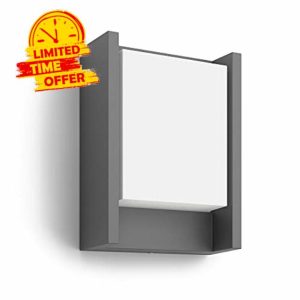 Philips LED Outdoor Light