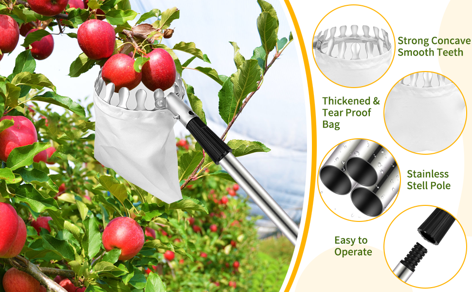 Apple Picker