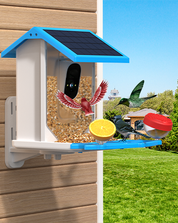 Smart Bird Feeder with Camera