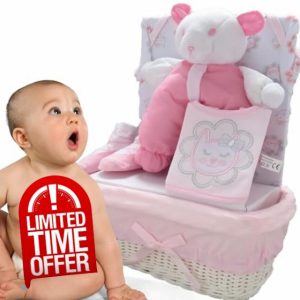 Ambience Products 5 Piece Hamper Basket Gift Set Welcome Gifts Baby Wishlist for Newborn Baby Gifts - Baby Shower Gifts for Mum