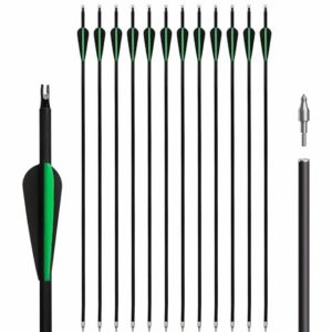 Archery Carbon Arrow Set
