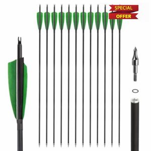 31 Inch Carbon Arrows - Archery Practice Hunting Arrows