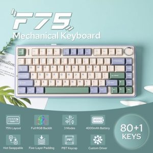 75% Wireless Gaming Keyboard with Five-Layer Padding&Knob