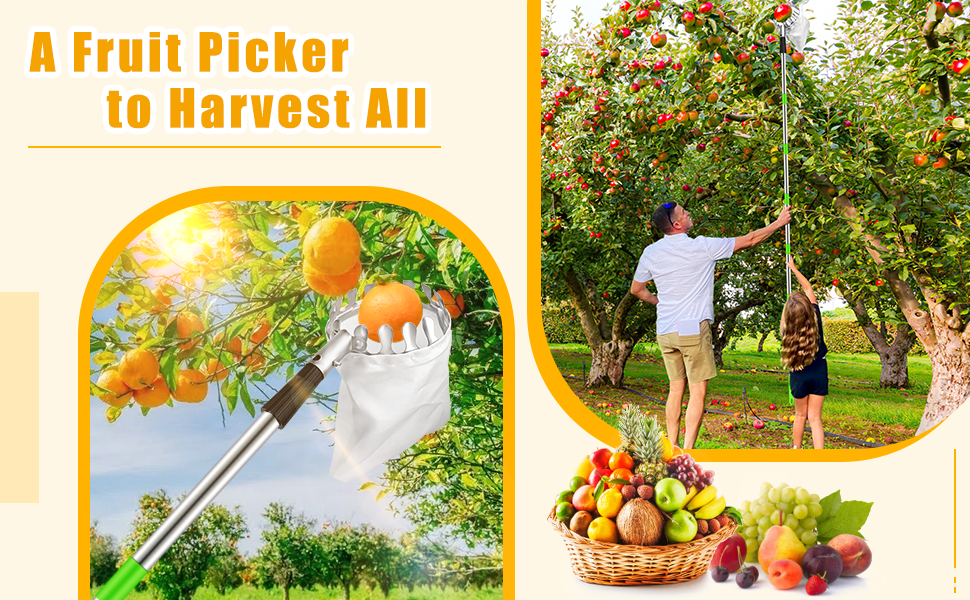 Apple Picker