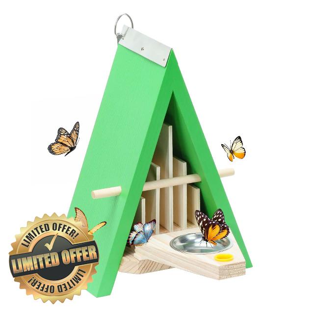 Axiqunel Butterfly House