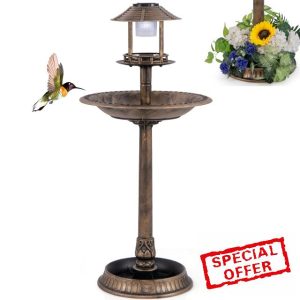 Maxmass Bird Bath Feeding Station