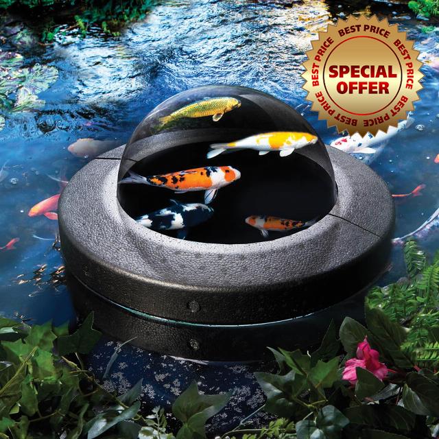 Coopers of Stortford Floating Fish Dome for Watching Pond Fish | Garden outdoors | 30cm