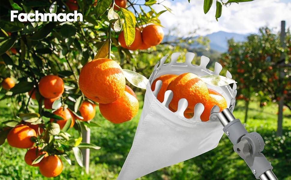 apple picker with telescopic handle