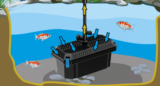 pond filter pump