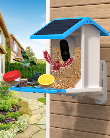 Smart Bird Feeder with Camera