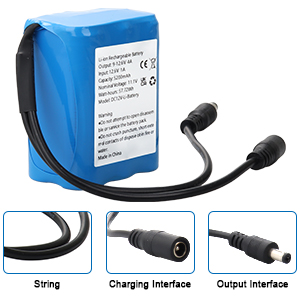 DC12V Battery