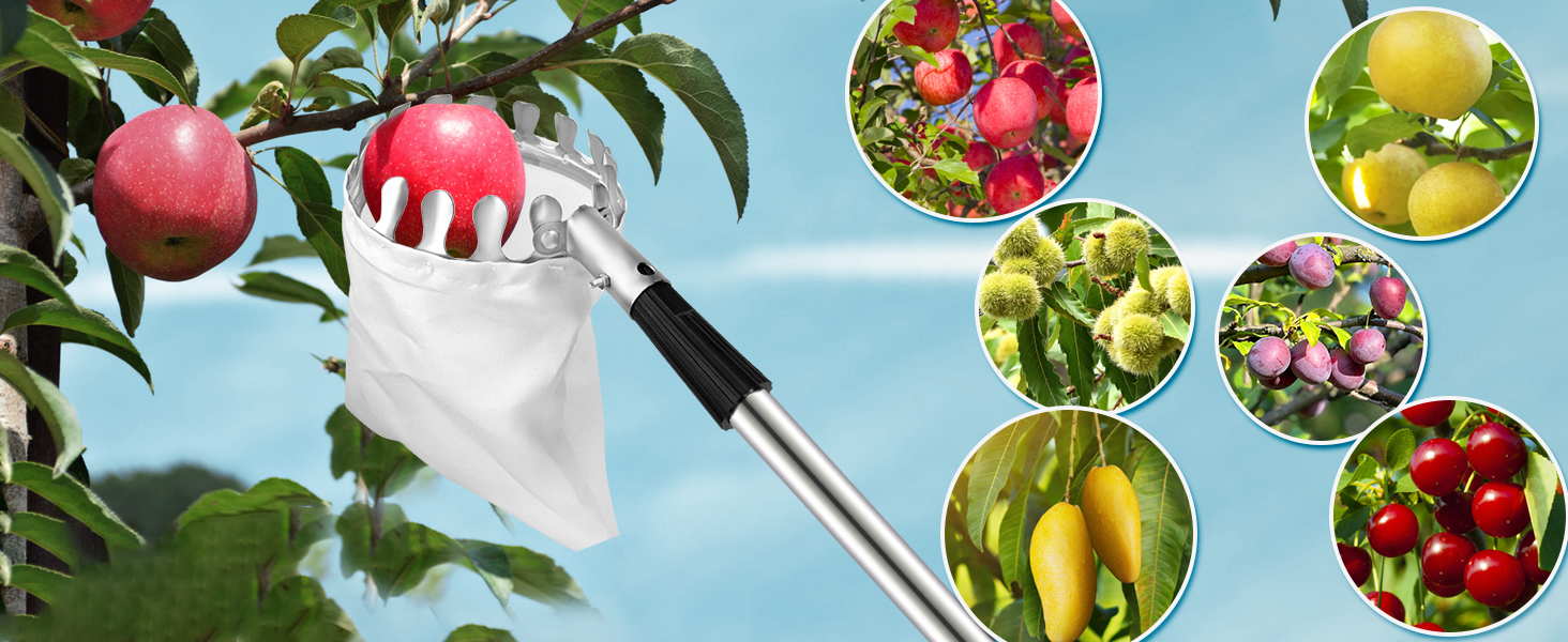 apple picker