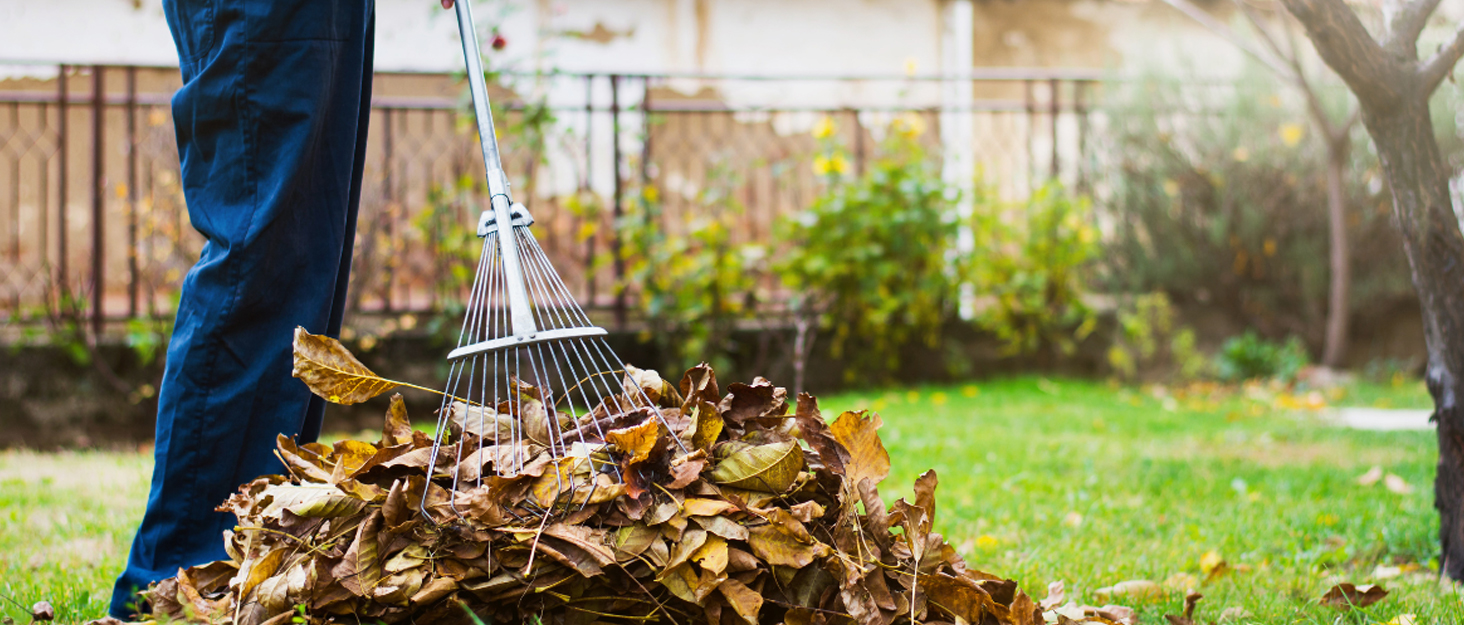 Garden Waste Bags