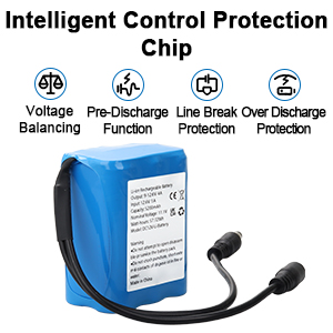 DC12V Battery