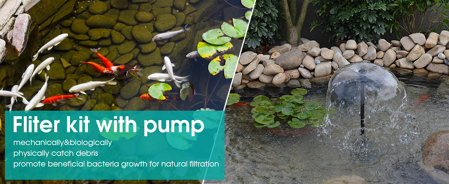 filter pumps