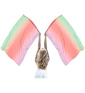 Baisdan 2 Piecs 35.5 * 55 Chiffon Worship Flags with Flex Rods, Gradient Colorful Rectangle Prais...