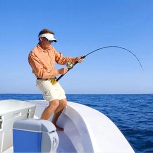 12V Car Refrigerator