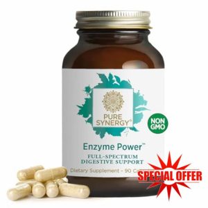 The Synergy Company Enzyme Power 90 Veg Capsules