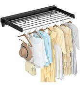 Savieva Expandable Microwave Oven Rack with 6 Hooks - 2-Tier Kitchen Counter Organizer Shelf Stan...