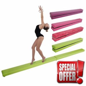 Erreyht Leather Balance Beam