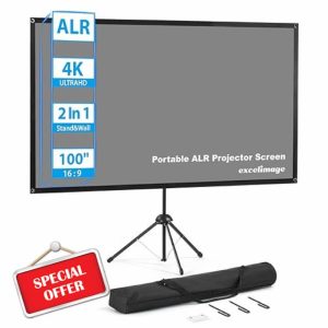 Portable Projector Screen and Stand