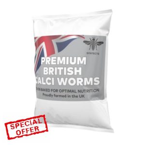 UK-Farmed Dried Calci Worms for Wild Birds - 5kg Bag | Oven-Baked for Maximum Nutrients | High Calcium & Protein for Strong Bones & Feathers | Perfect for Robins