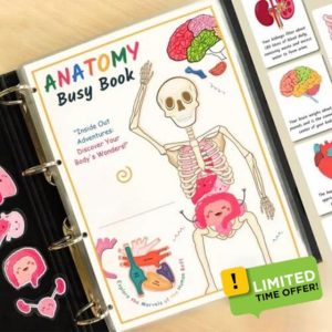 Human Anatomy Busy Book