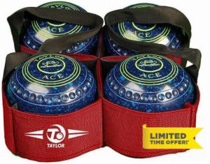 SGL TAYLORS RED 4 BOWL CARRIER**