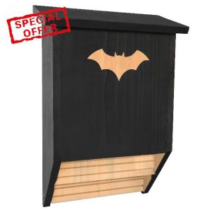 Bat Roosting Box