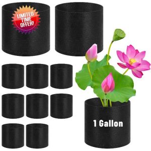 UCandy Lily Plant Pots for Pond