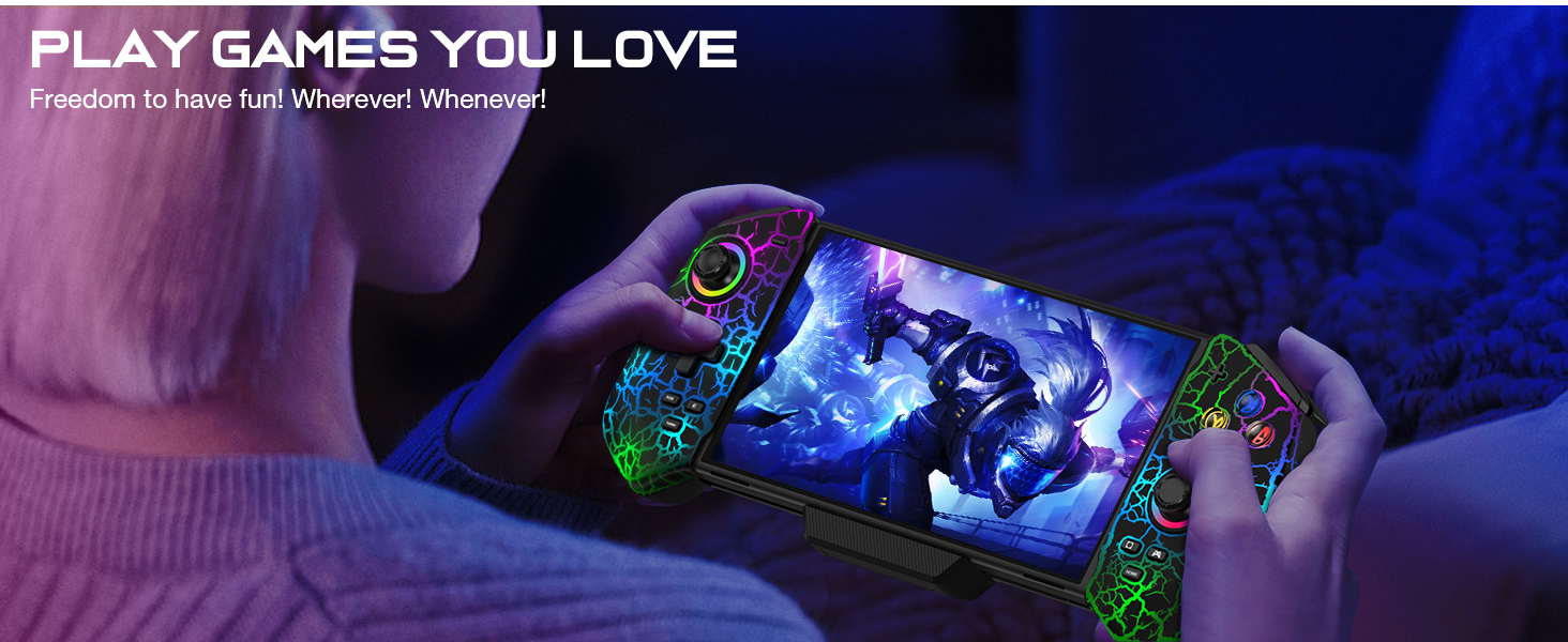 Switch Controller for Handheld Grip