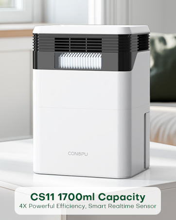 dehumidifier for bedroom