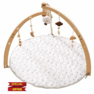 Play Gym Wood - Sensory Play Arch