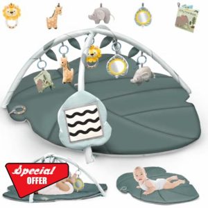 Baby Play Mat Tummy Time Mat