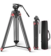NEEWER LITETRIP LT07 61