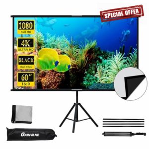 Projector Screen with Stand 60 inch
