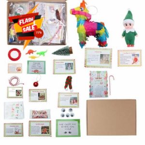 2024 NEW Elf Kit 24 Days of Christmas