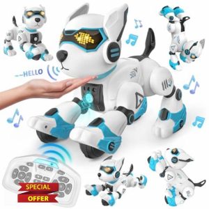 Dreamon Remote Control Robot Dog Toy for Kids