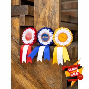 LeMieux Hobby Horse Rosette Pack - Set of Three Satin Winner Rosettes - Congratulate Your Hobby Horse - Suitable for Ages 3+