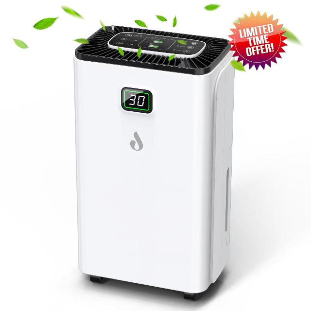 12L/Day Dehumidifiers for Home