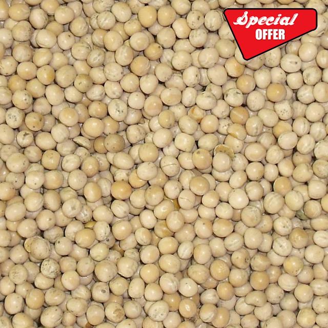 Bamfords Top Flight White Peas 20kg - High Protein Racing Pigeon Food/Fishing Bai