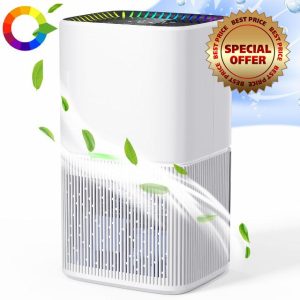 Dehumidifiers for Home