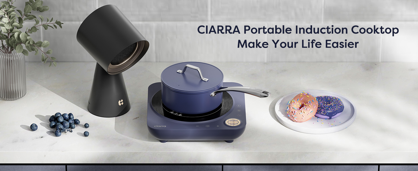 portable induction hob